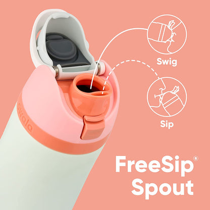 Freesip Insulated Stainless Steel Water Bottle with Straw for Sports, Travel, and School Bpa-Free Sports Water Bottle, 24 Oz, Very, Very Dark